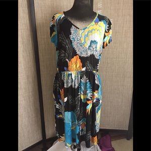 Honey Lace and piphany short sleeve dresses(2)